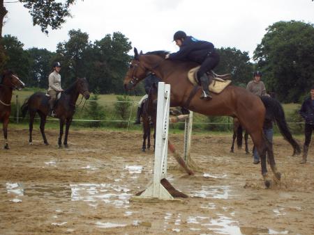 puissance Angel et Gamin